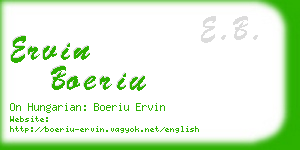 ervin boeriu business card